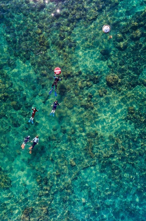 Studio Chaleureux Au Cap D'Agde Dış mekan fotoğraf